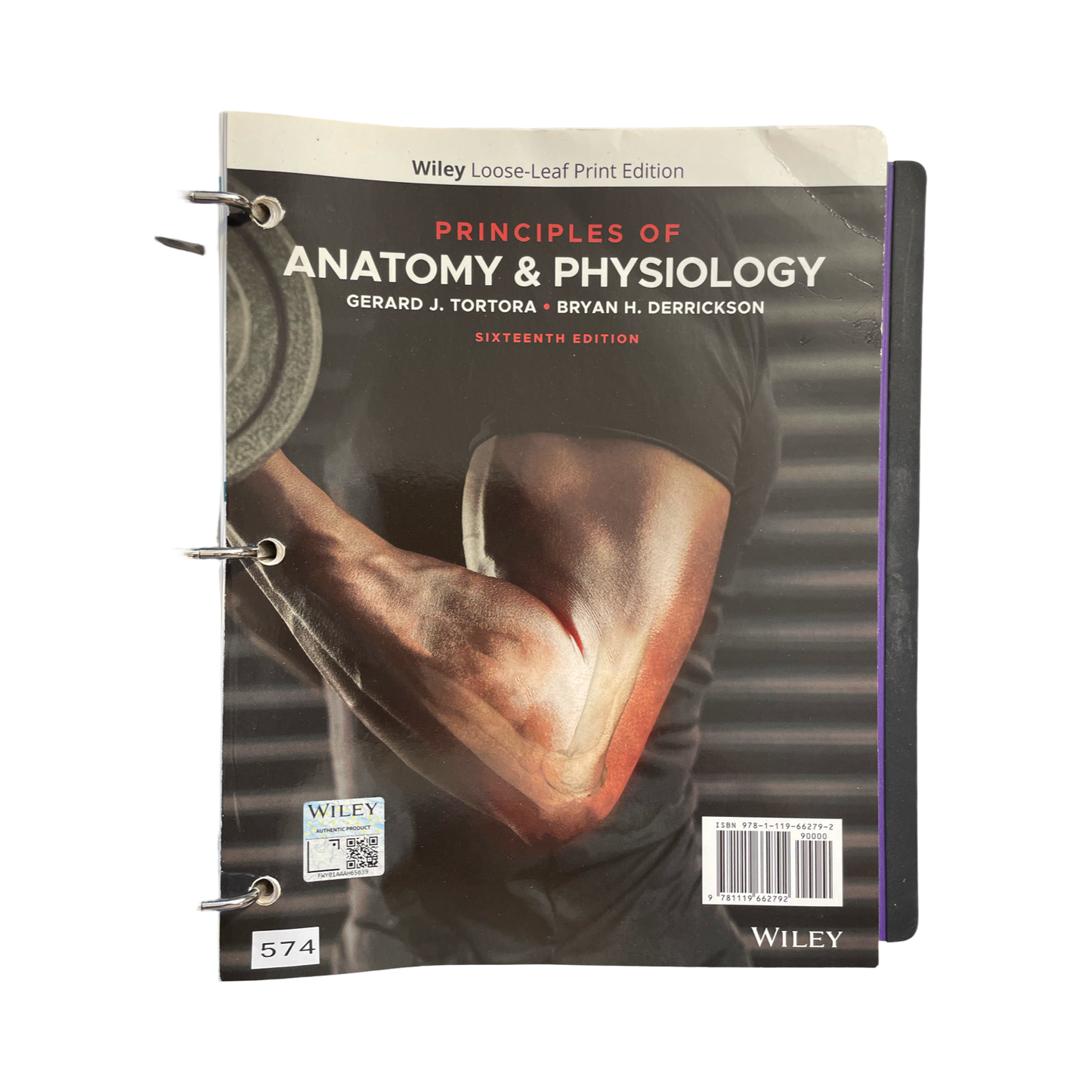 Principles of Anatomy and Physiology 16th edition Loose Leaf