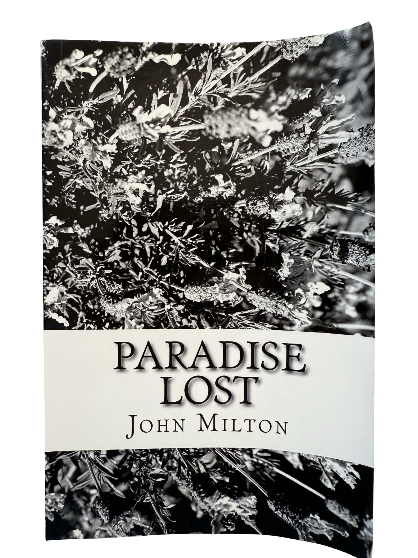 Paradise lost