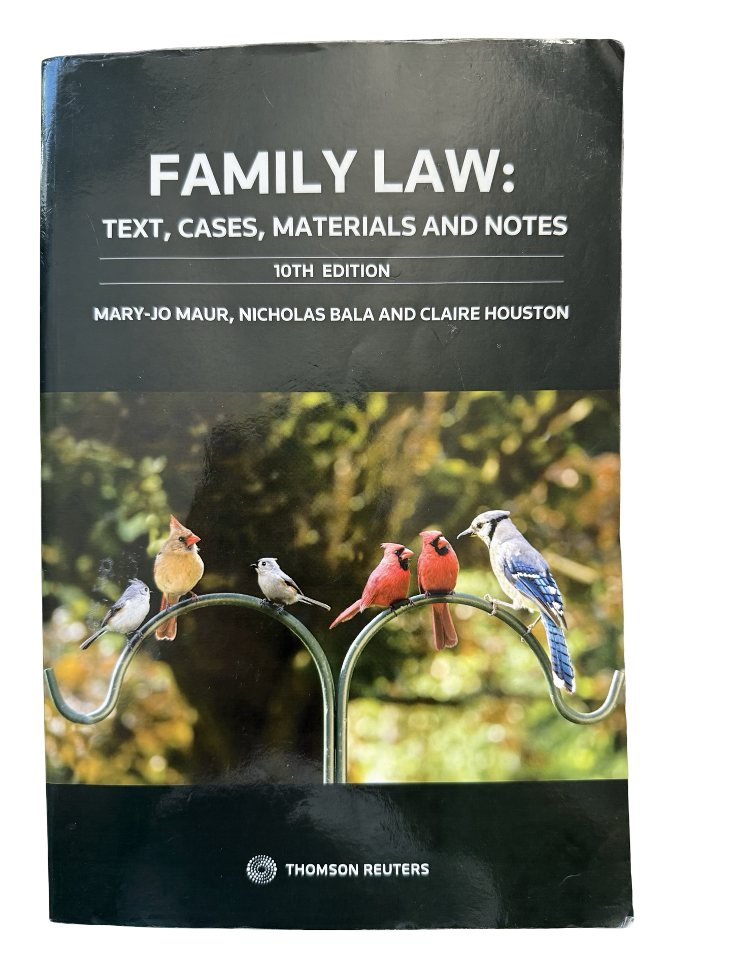 Family law -text cases materials and notes
