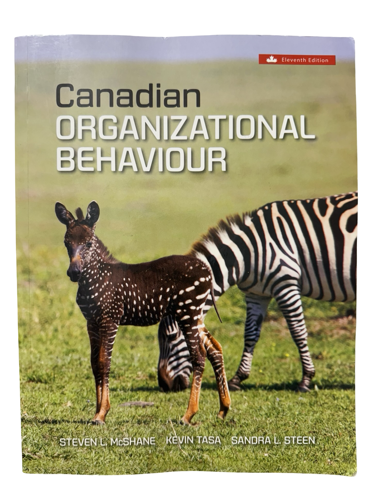 Canadian organizational behaviour 11 th ed