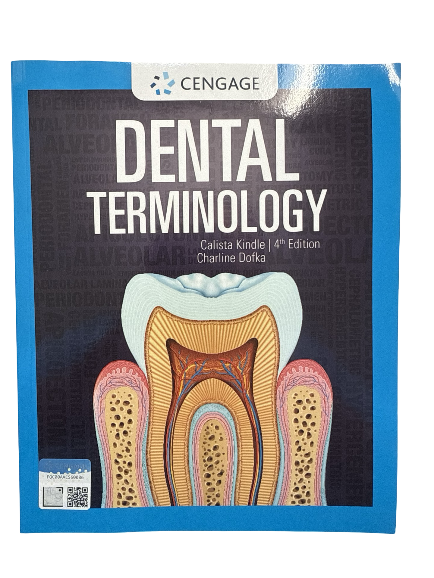 Dental Terminology 4th edition