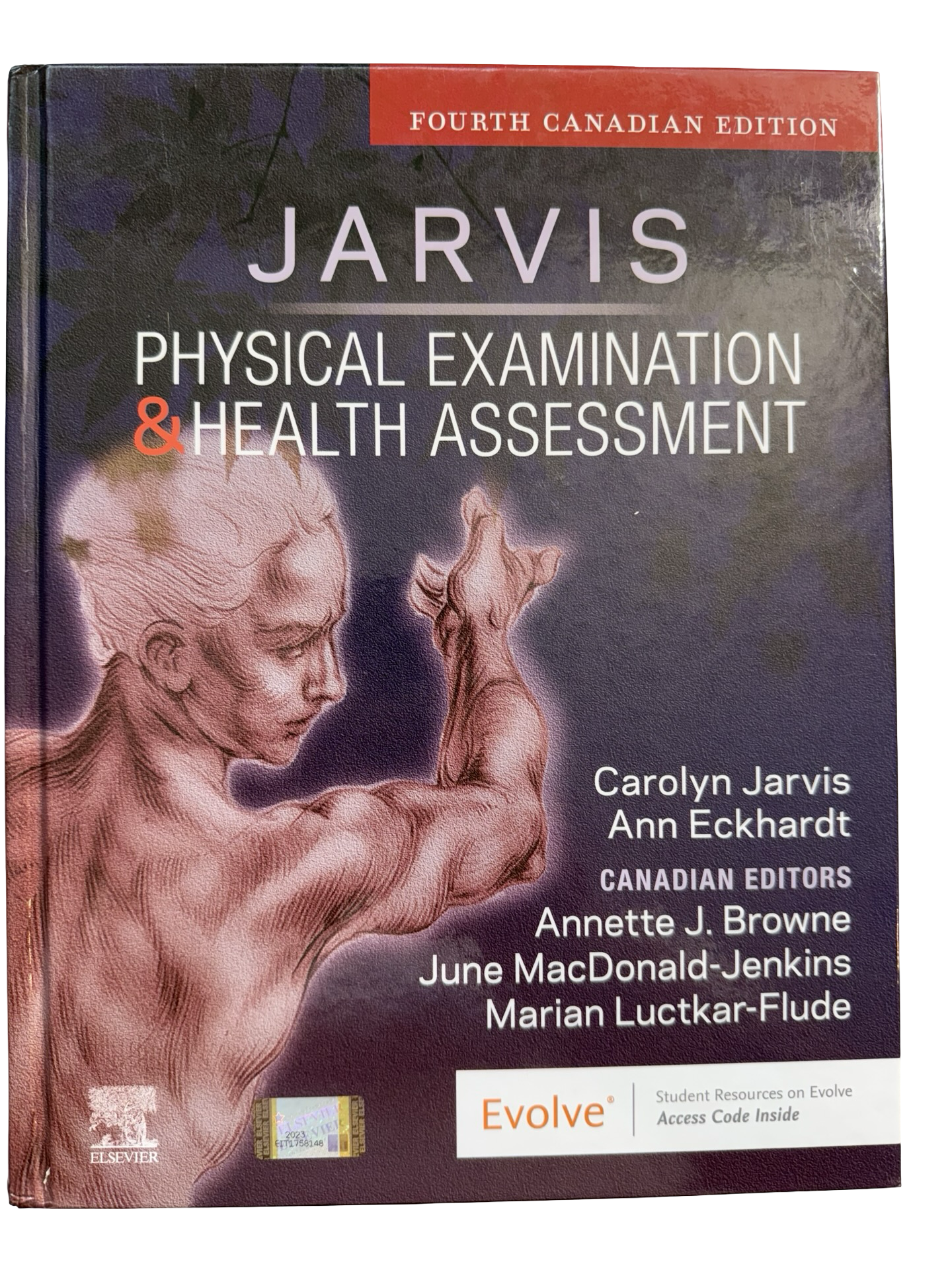 Physical Examination and Health Assessment