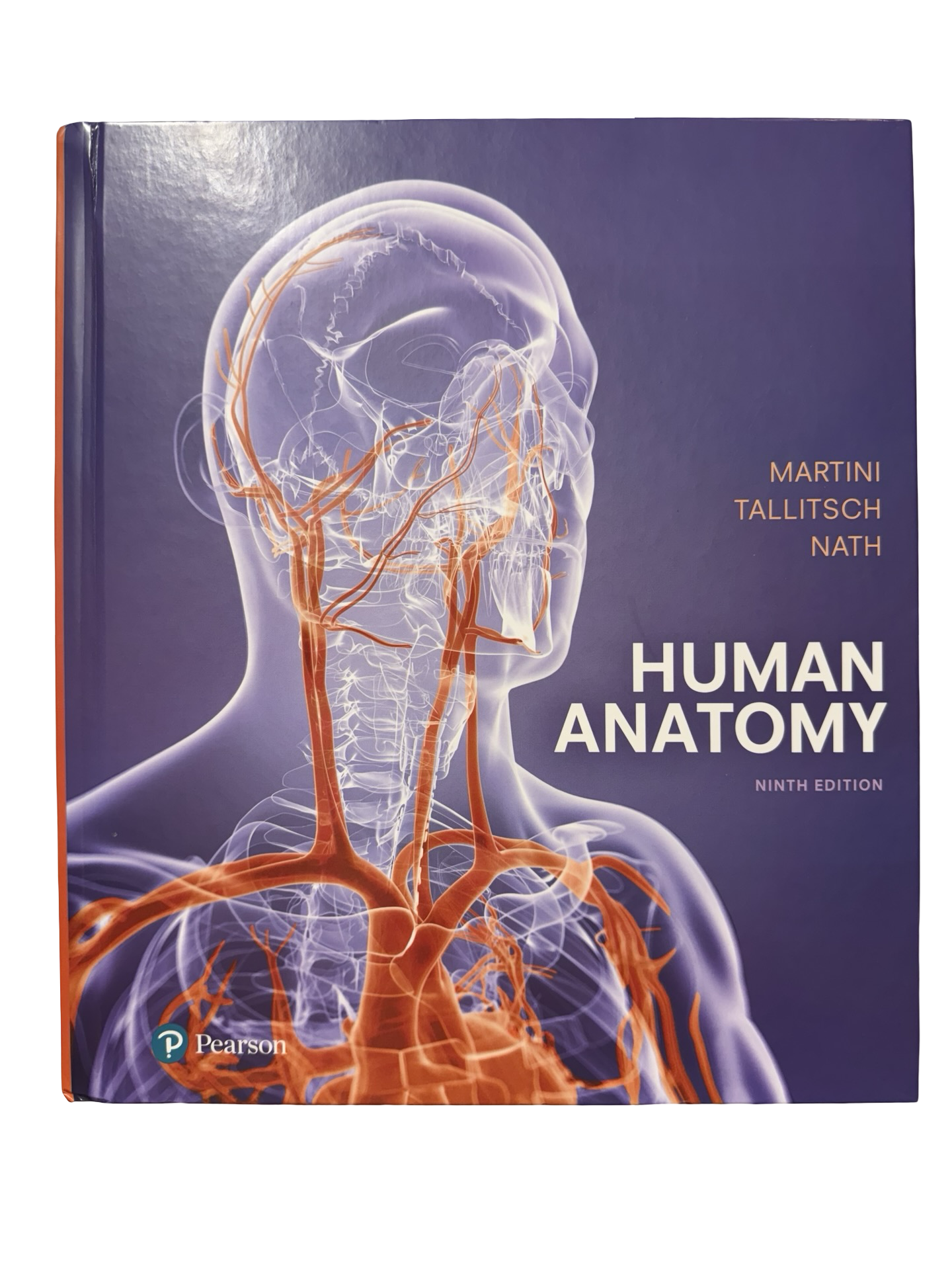 Human Anatomy