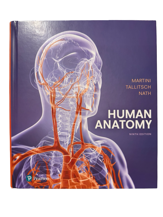 Human Anatomy