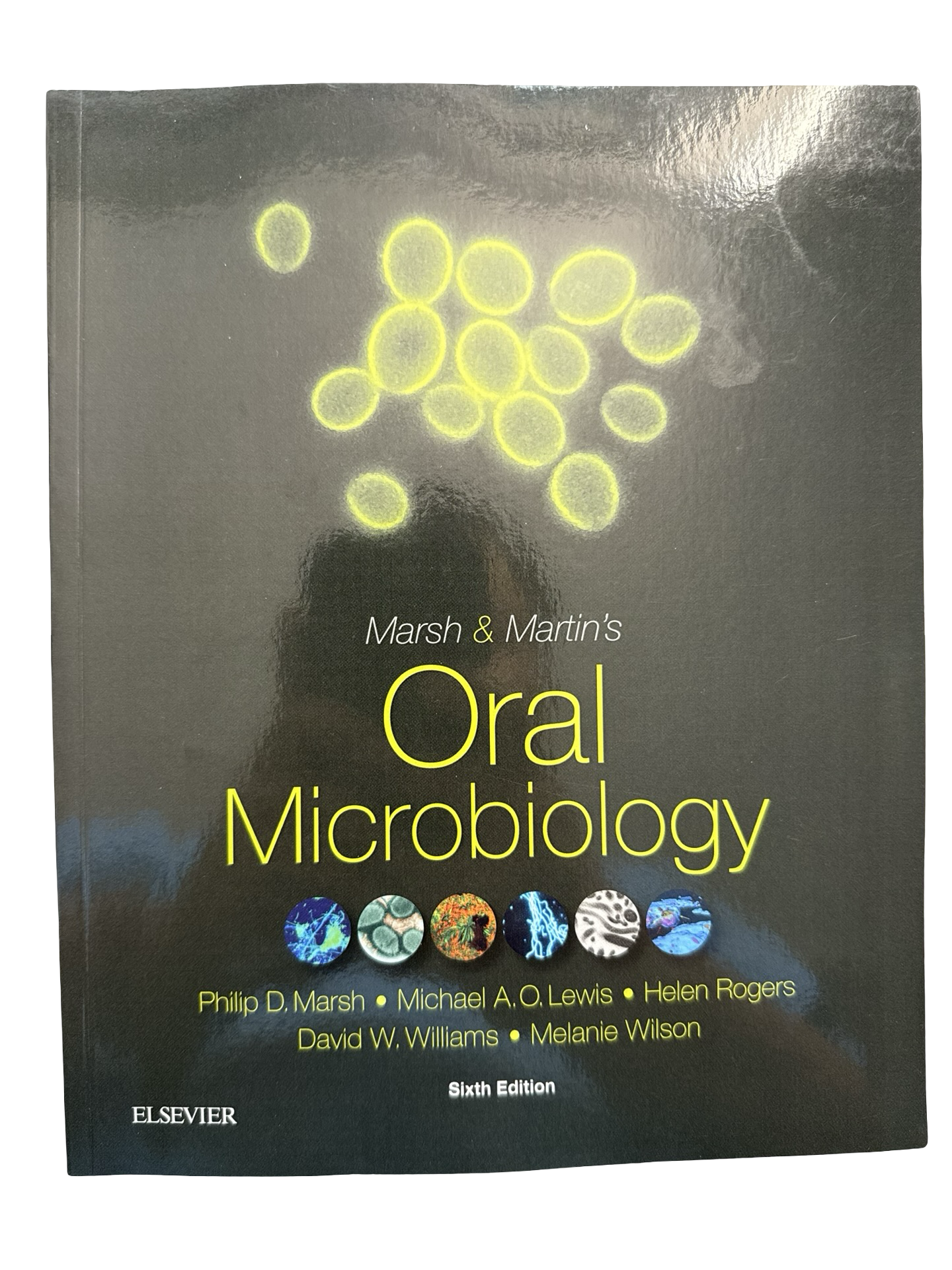 Oral Microbiology 6th ed