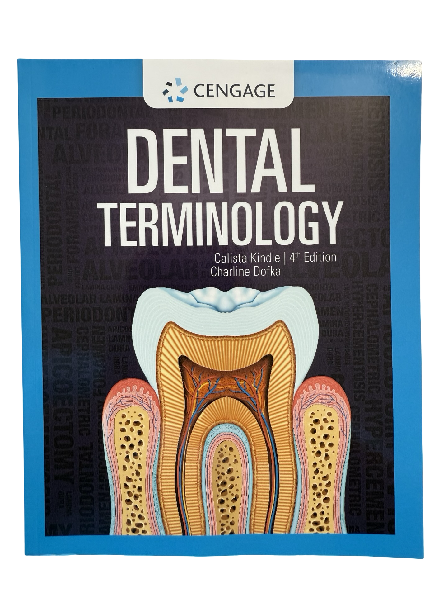 Dental Terminology 4th ed