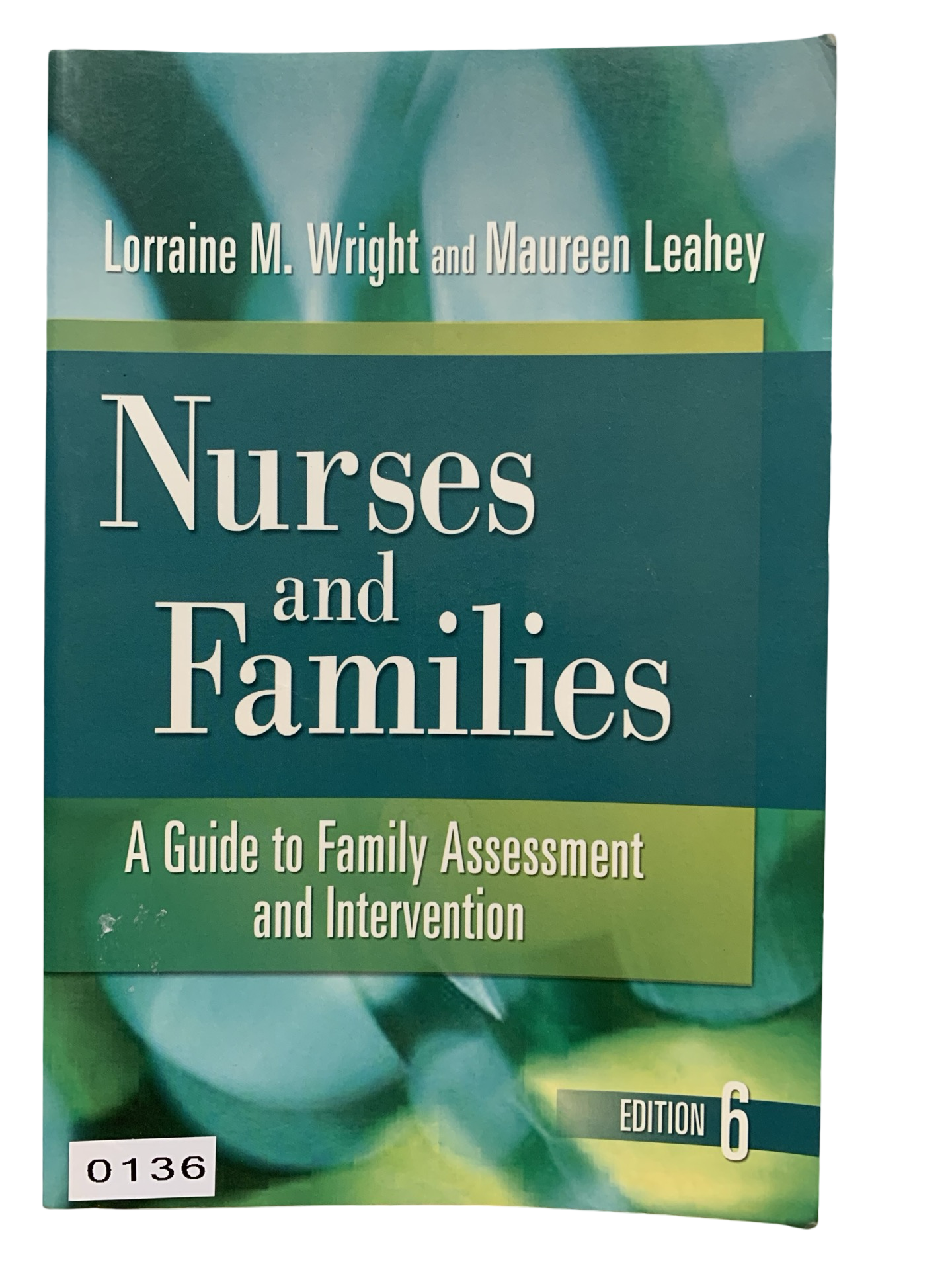 Nurses and Families A guide to family Assessment and Intervention