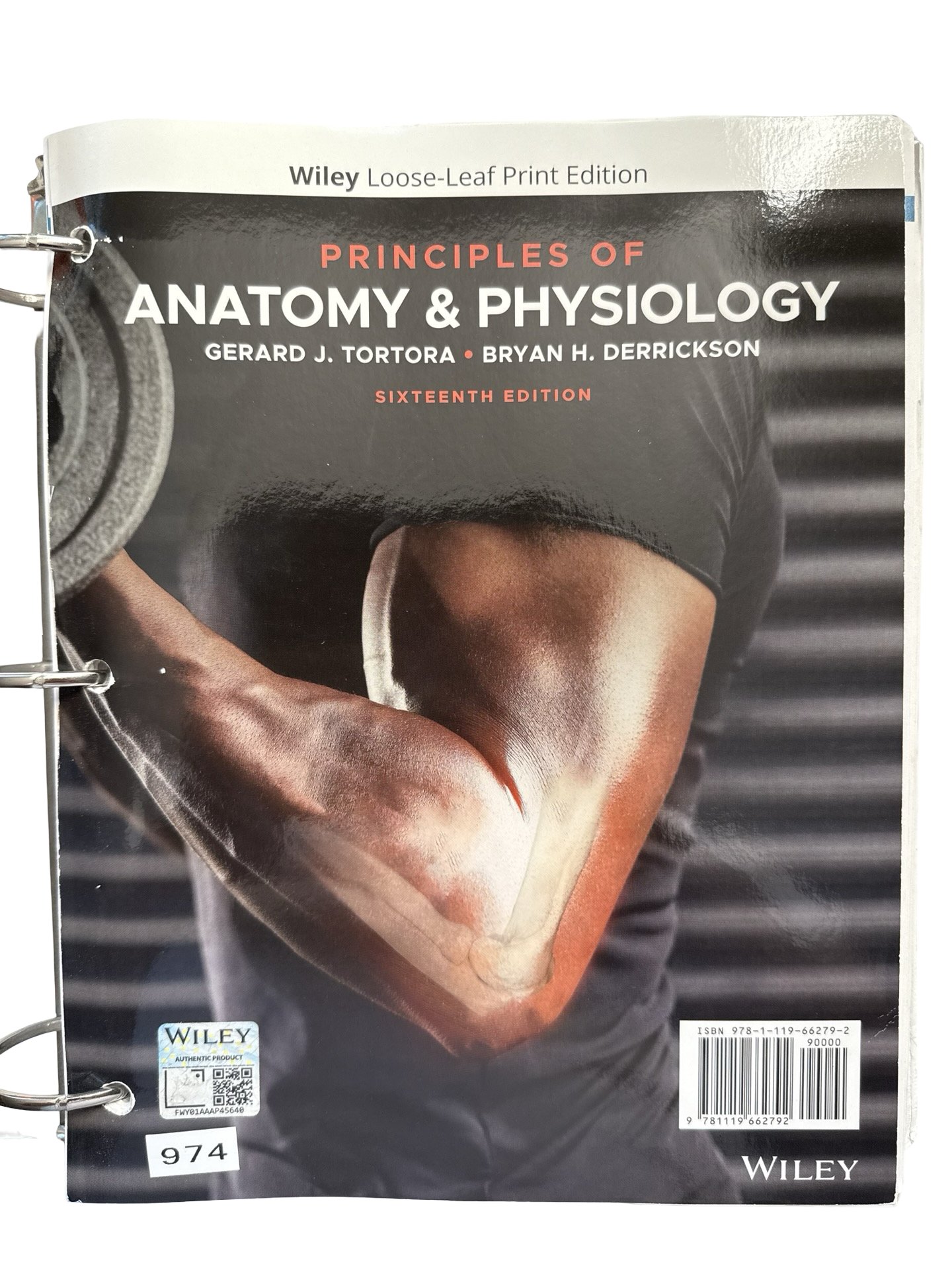 Principles of Anatomy and Physiology 16th edition