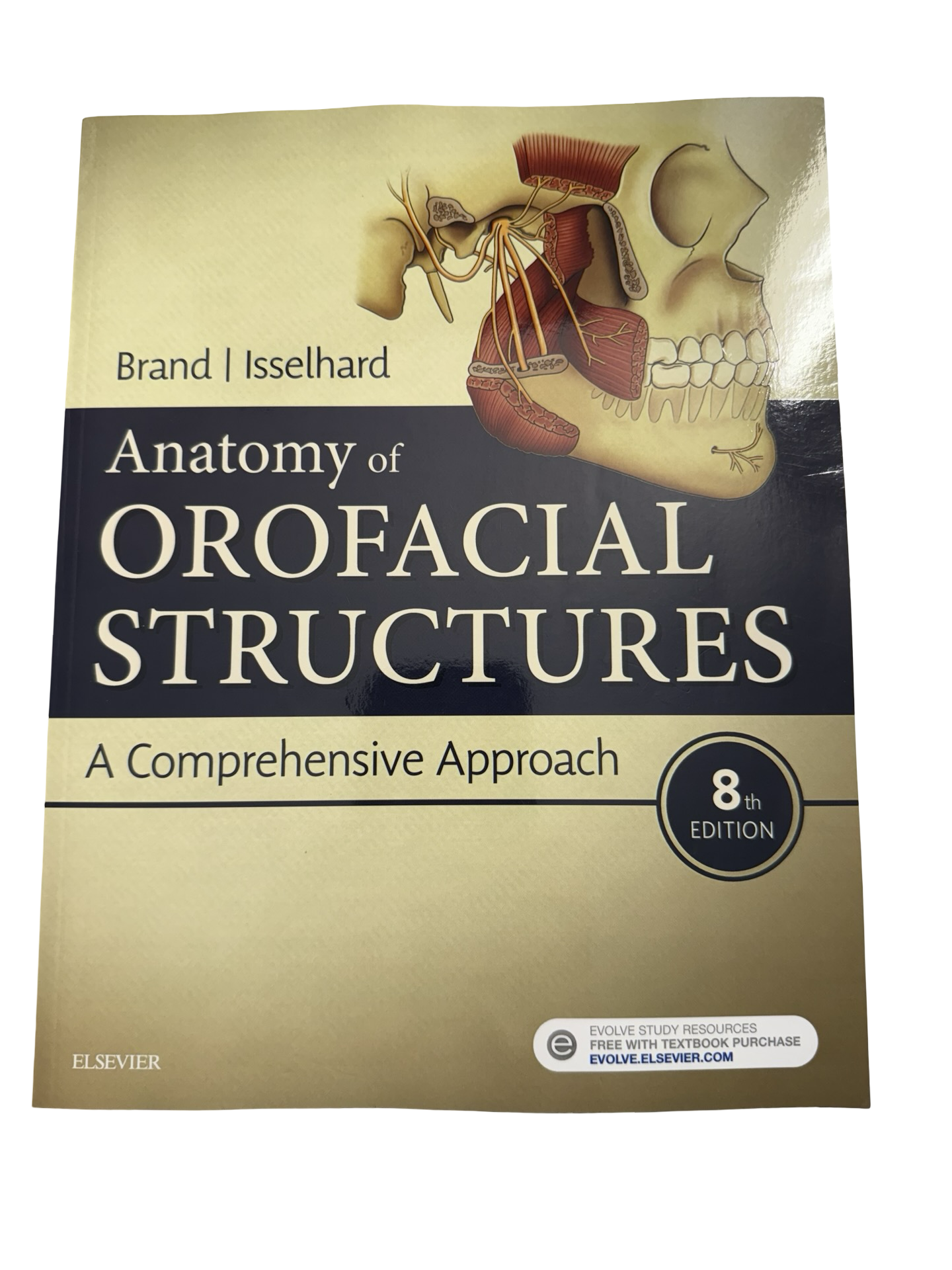 Anatomy of Orofacial Structures A Comprehensive Approach
