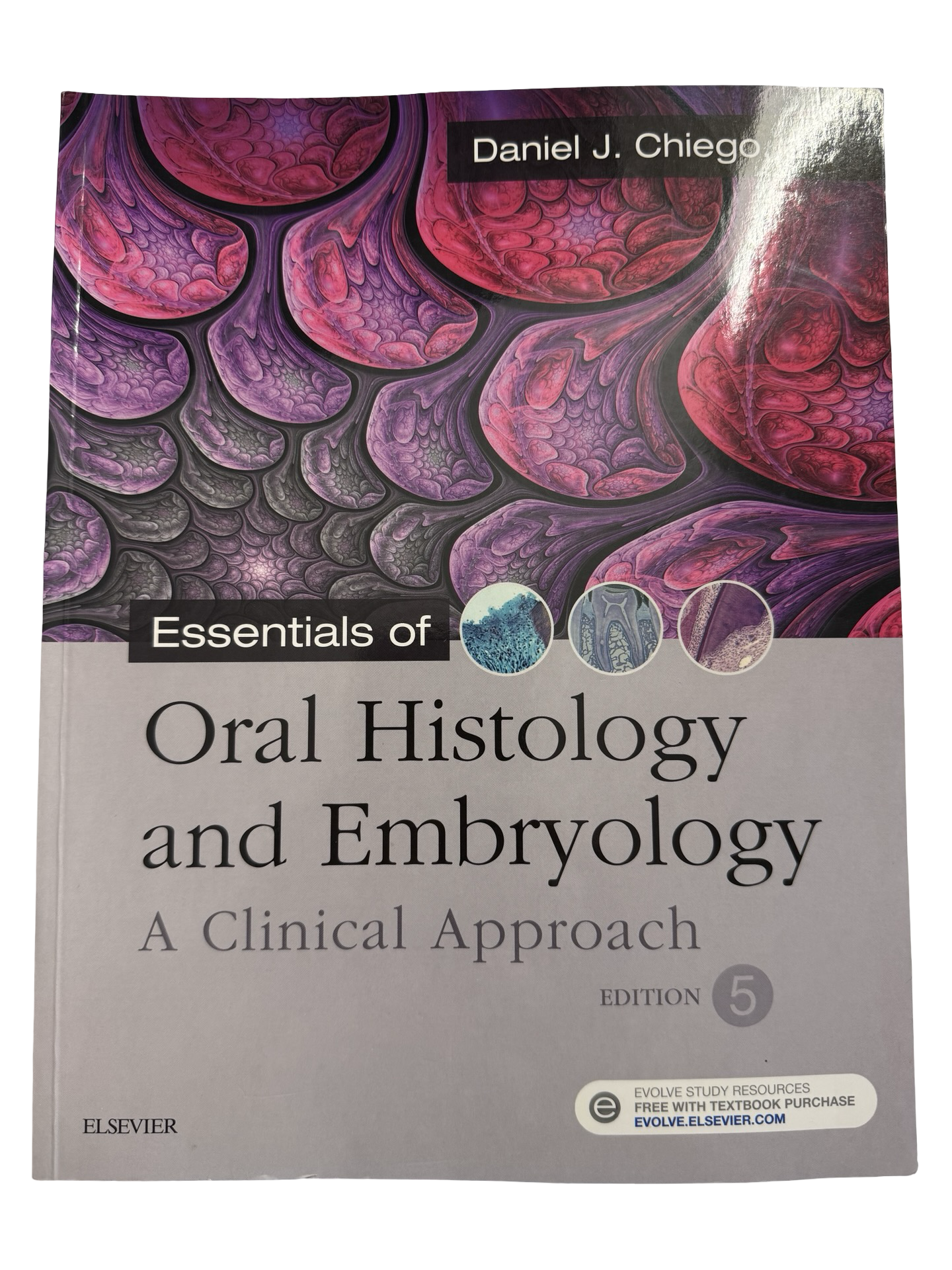Oral Histology and Embryology A Clinical Approach